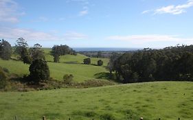 Spring Hill